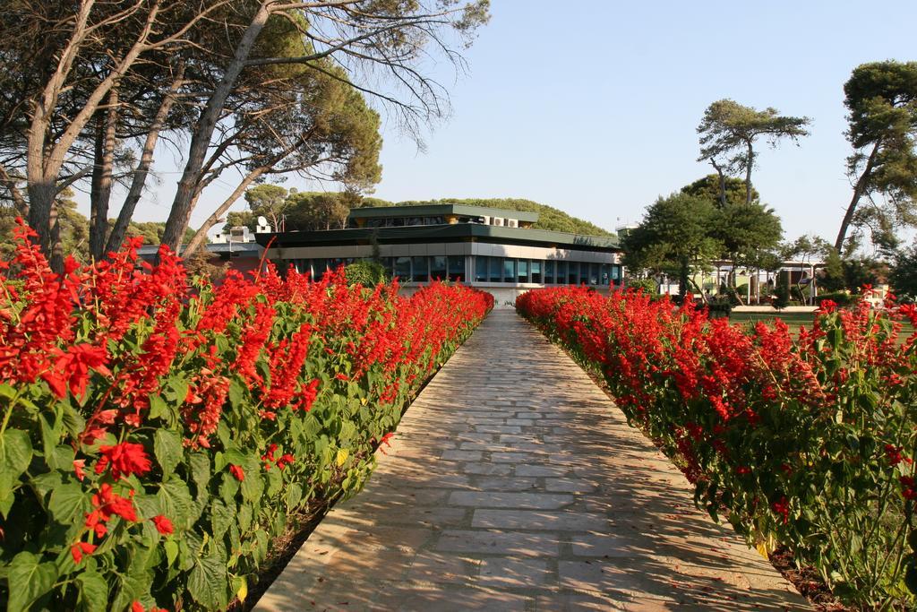 Tropikal Bungalows Durrës Extérieur photo