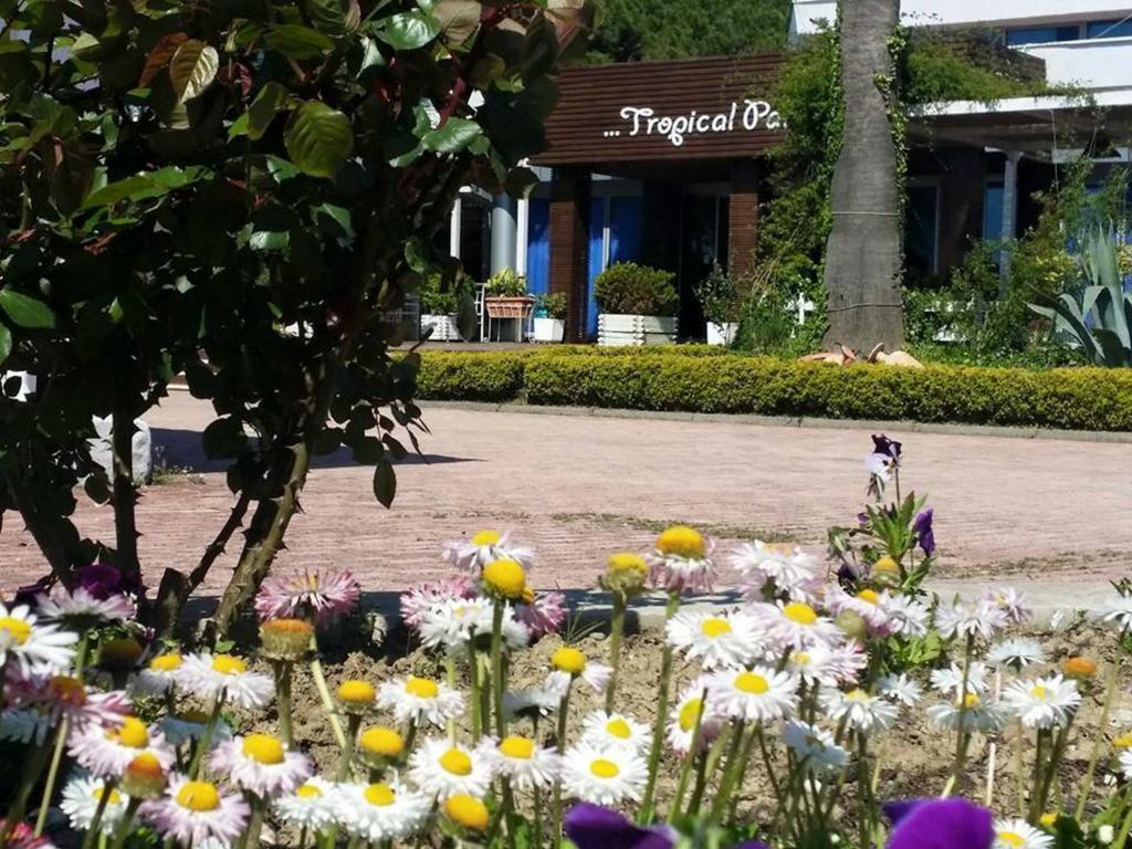 Tropikal Bungalows Durrës Extérieur photo